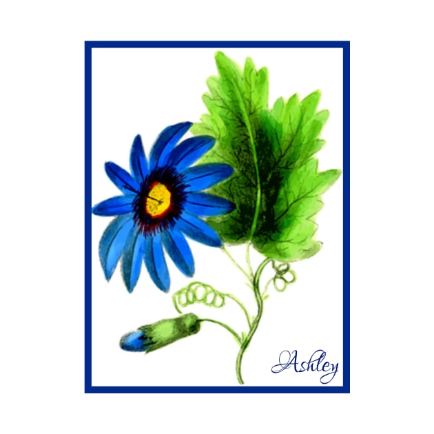 Beautiful Blue Flower by Haland 9