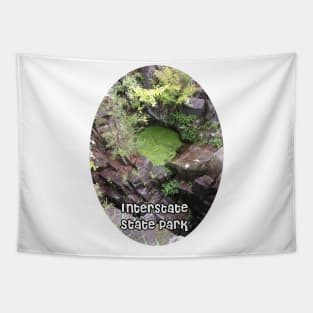 Interstate State Park Pothole Tapestry