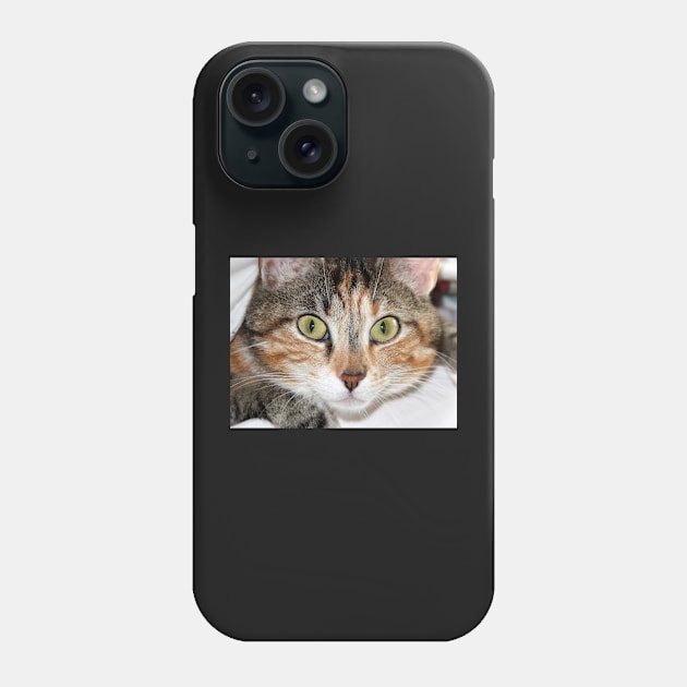 Calico Cat Face, Gifts Cat Lovers Phone Case by 3QuartersToday