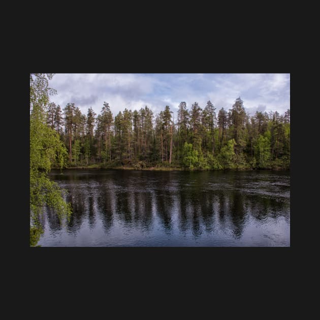 Reflections of the Finnish Forest by krepsher