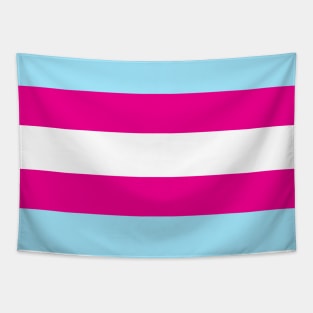 Transgender Pride Flag Tapestry