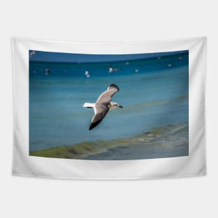 Gull in Flight Tapestry