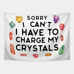 Sorry I Can't I Have to Charge My Crystals Wiccan Witch Tapestry