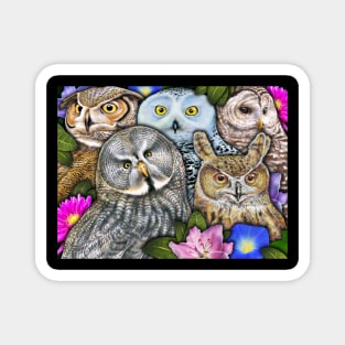 Owls Magnet