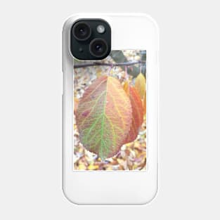 Apple Tree Leaves, Stawell, June 21, 2017 Phone Case