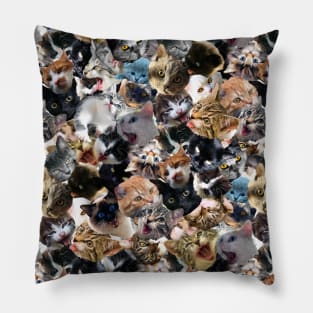 Cats Face Funny Cat Collage Pillow