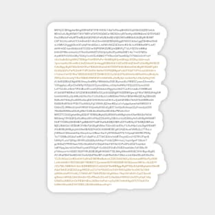 Computer Code Digital Text Paragraph Design Magnet