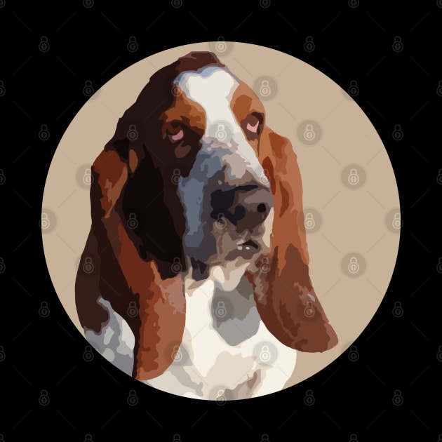 Basset Hound by NV