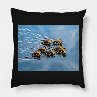 Baby Ducks Pillow