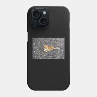 a red cat on the beach Phone Case