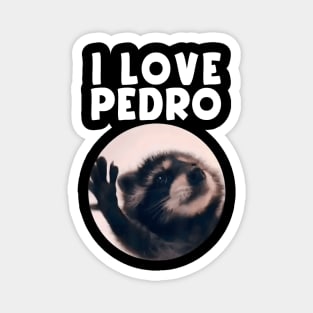 Funny I Love Pedro Dance Raccoon Meme Humorous Memes Magnet