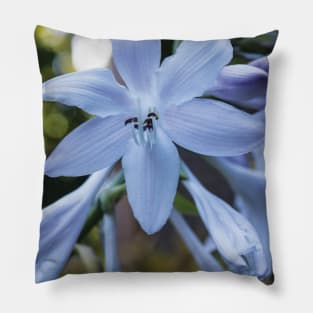 Light Purple Flowers Pillow