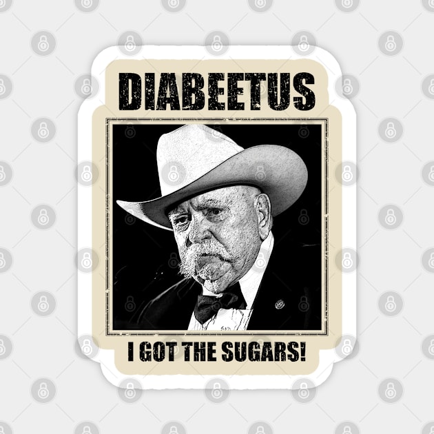 RETRO STYLE - DIABEETUS I GOT THE SUGARS! Magnet by Horror'movieaddict