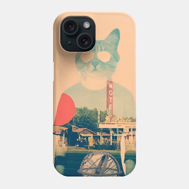 Cool Cat Phone Case by aligulec