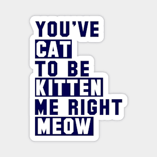 You've Cat to be Kitten Me Right Meow Magnet