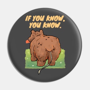 you dont wanna know Pin