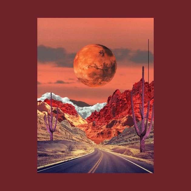 Towards Mars by leafandpetaldesign