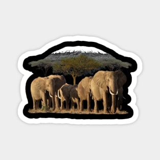 Kilimanjaro with Elephants on Safari in Kenya / Africa Magnet