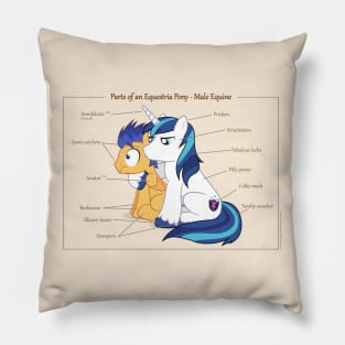 Pony Anatomy - Male Equine Pillow