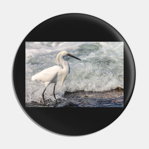 Walking on Waves Pin by jvnimages