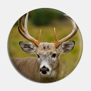 White-tailed Deer Pin