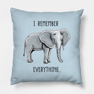 I Remember Everything... Pillow