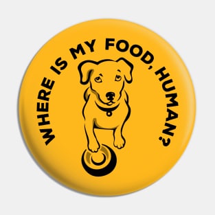 Hungry dog waiting for food Pin