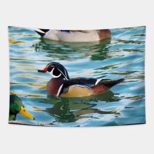 A Cute Wood Duck Turning Its Head While Swimming Tapestry