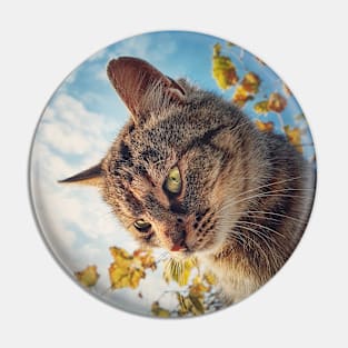 Cat outside portrait Pin