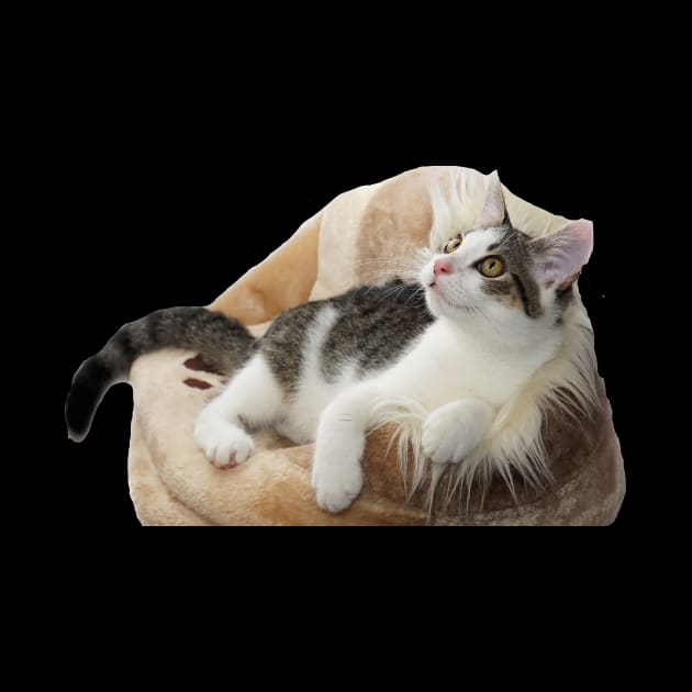 Cushion Kitty by TonSlice