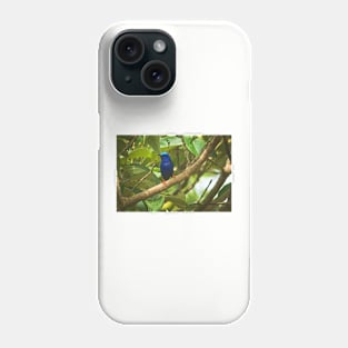 Cla blue bird Phone Case