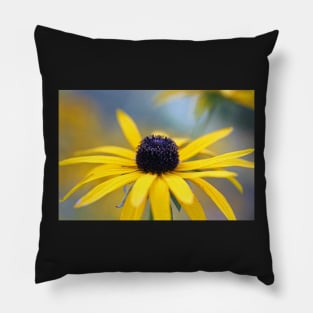 Rudbeckia Pillow