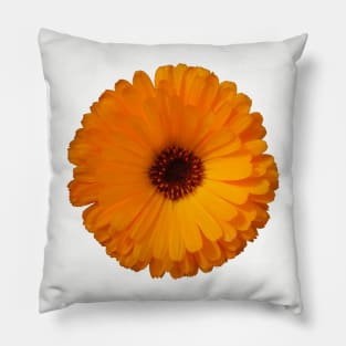 orange daisy Pillow