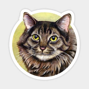 Cute Brown Tabby Cat Magnet