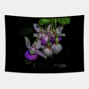 Fuchsia Cluster Tapestry