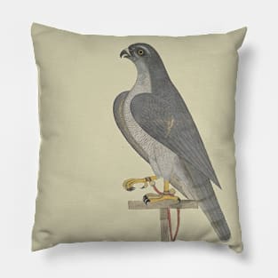 Retro Falcon Pillow