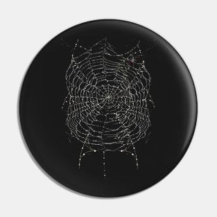 Spider web Pin