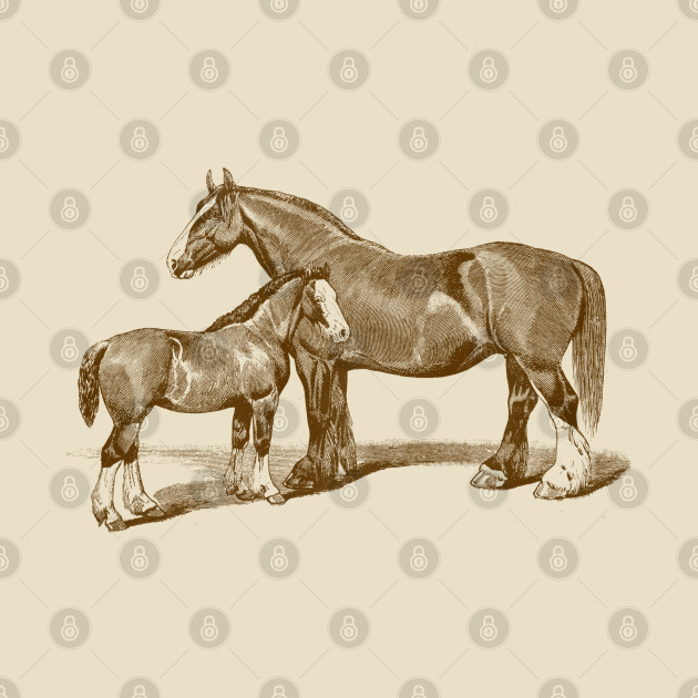 Mare and Foal. Brown Horse Illustration by Biophilia