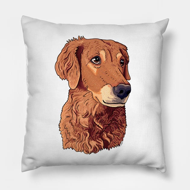 Golden Retriever Pout Pillow by EcoElsa