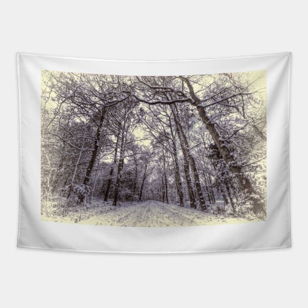 Winter Forest Path Tapestry by Nigdaw