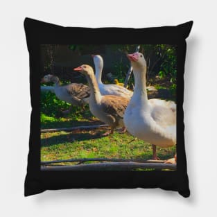 Flock of Cotton Patch Geese Pillow