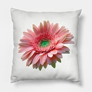 Pink Flower Pillow