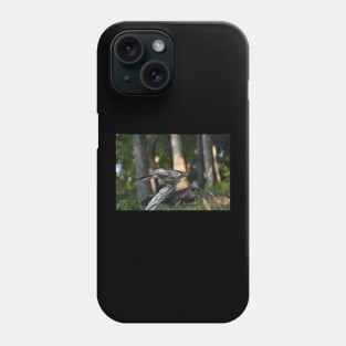 Hawk Phone Case