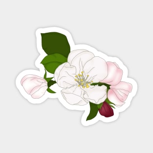 Apple blossom. Time for love and romance. Magnet
