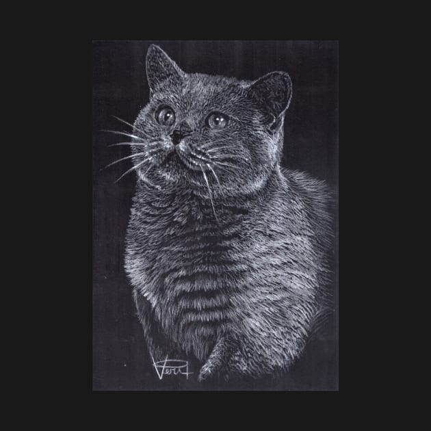 British Shorthair Cat by VeriArt