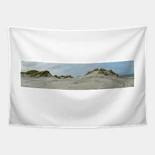 Panorama of the grassy dunes on the island of Terschelling, Netherlands Tapestry