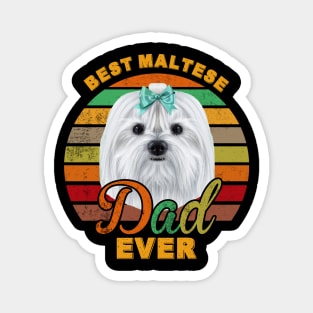 Best Maltese Dad Ever Magnet