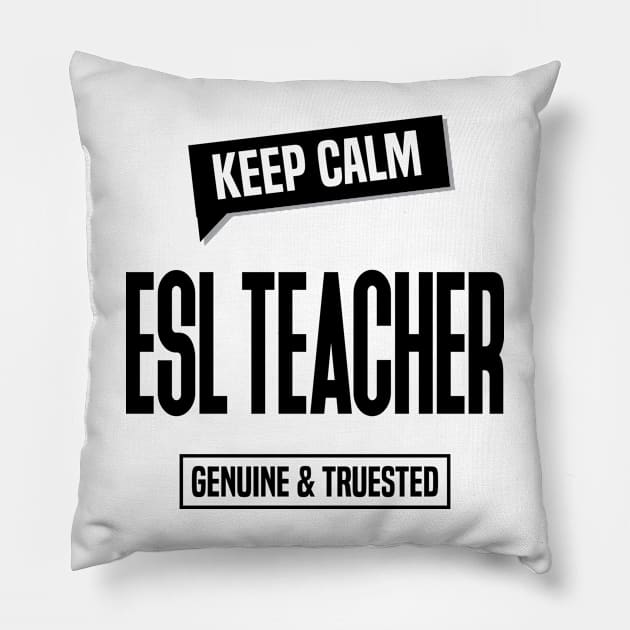 ESL Teacher Pillow by C_ceconello