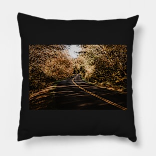 Parkway Roads Pillow