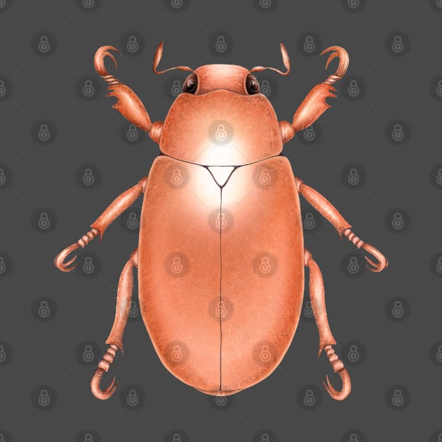 Copper Beetle by illucalliart